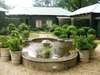 Jatinga Country Lodge - Garden 